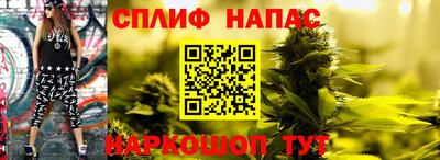 стафф Кандалакша