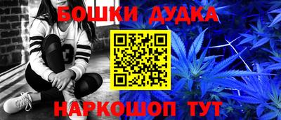 стафф Кандалакша