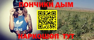 прущие грибы Канаш