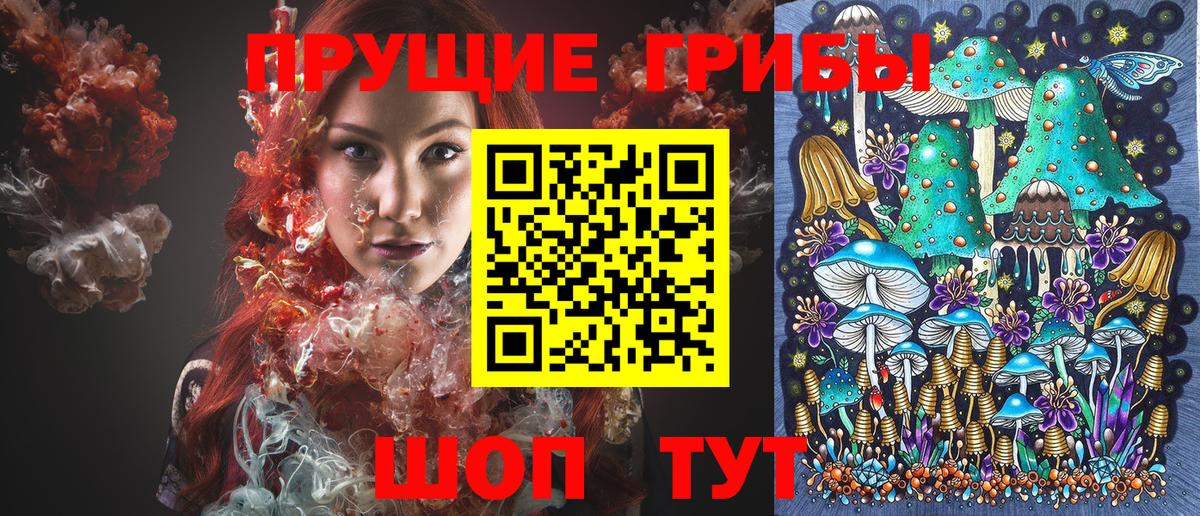 Нефтекамск  Псилоцибиновые грибы мицелий  где купить наркоту  Вход с VPN 